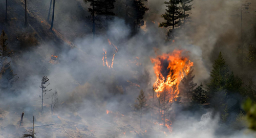 Canada, incendi in British Columbia: oltre 20.000 evacuati e stato d�emergenza